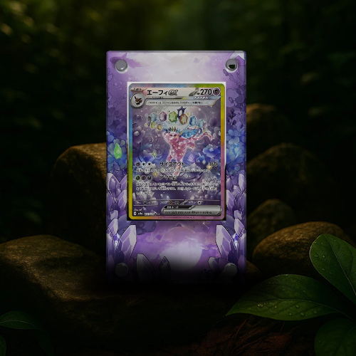 CADRE PRESENTOIR POKEMON